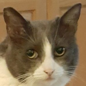 Meet your Posher, Corey